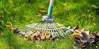 LawnCare_pixabay.png