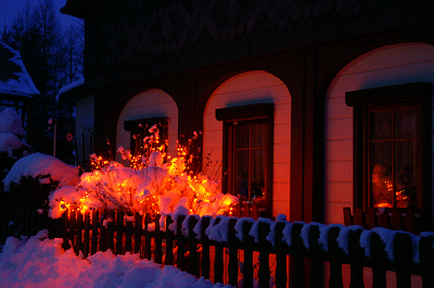 verschneiter Weihnachtsbaum Weihn2024.png